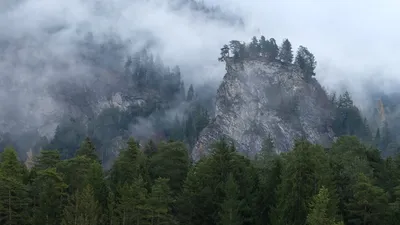 Felsturm mit Bäumen auf der Kuppe, halb im Nebel