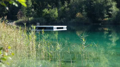 Badesteg im türkisgrünen Wasser des Caumasees, im Vordergrund Schilf