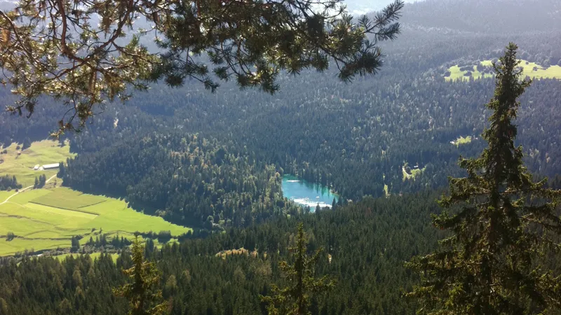 Blick von oben durch Äste auf den Caumasee mitten im Wald